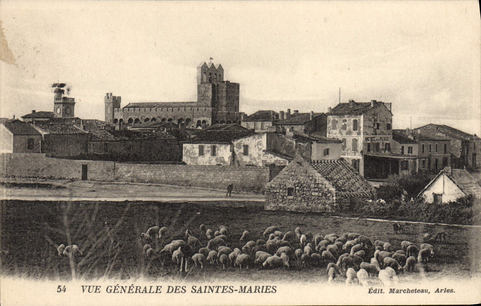 CPA Vue generale des Saintes Maries Moutons