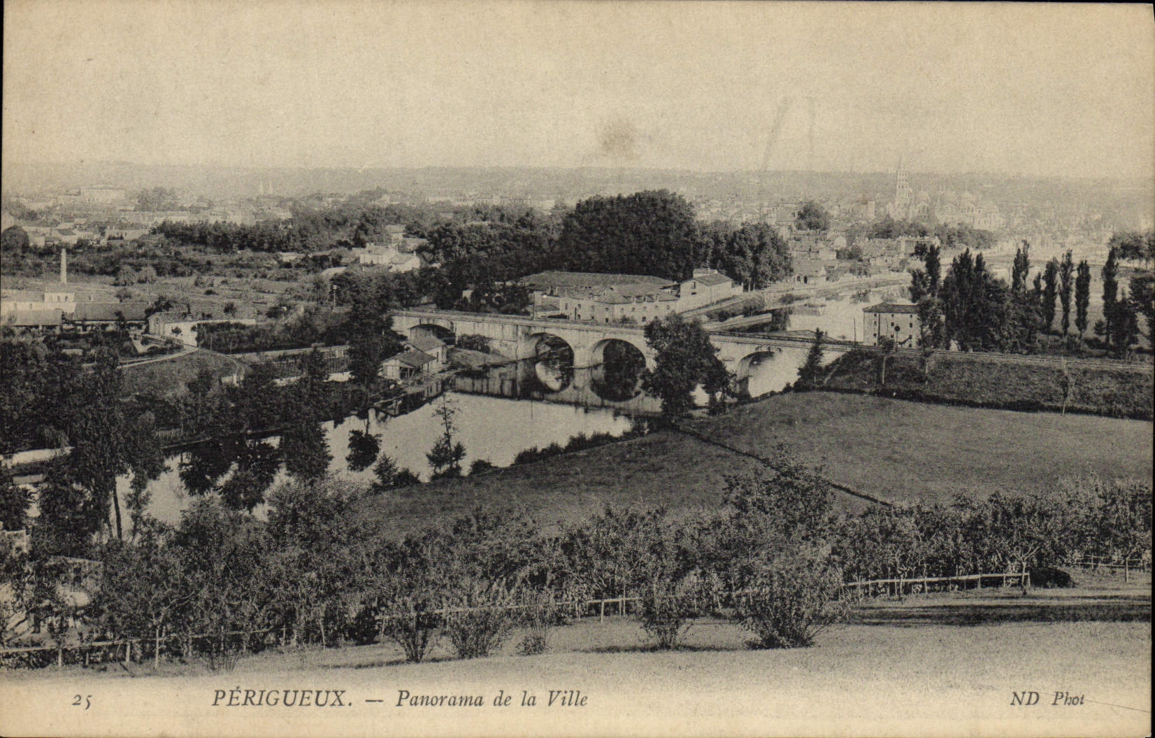 CPA Perigueux Panorama de la Ville 