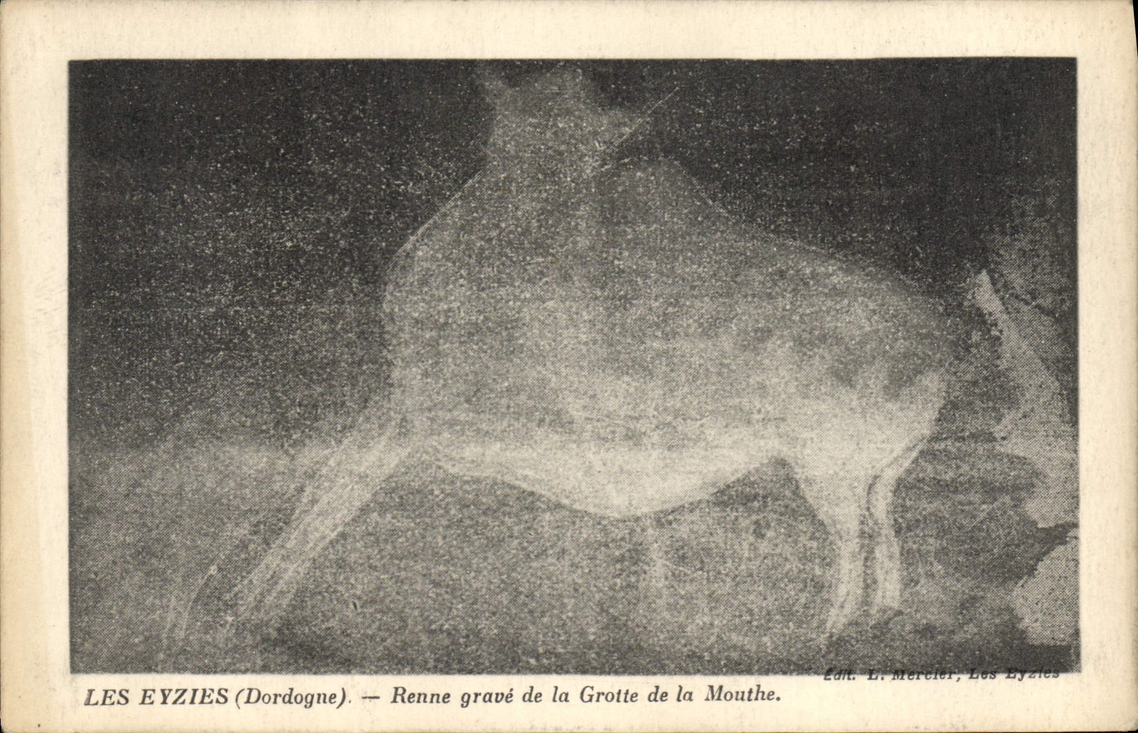 LES EYZIES (Dordogne) — Renne gravé de la Grotte de la Mouthe — Edit. E. Mercier, Les Eyzies