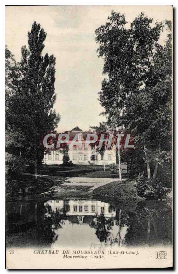 CPA Chateau De Mousseaux