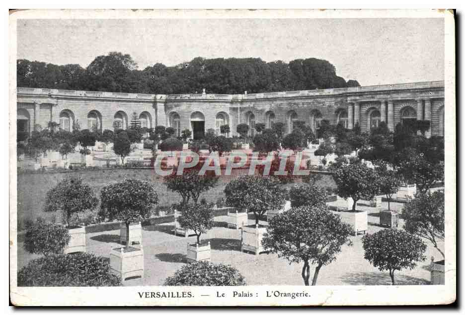 CPA Versailles Le Palais L'Orangerie