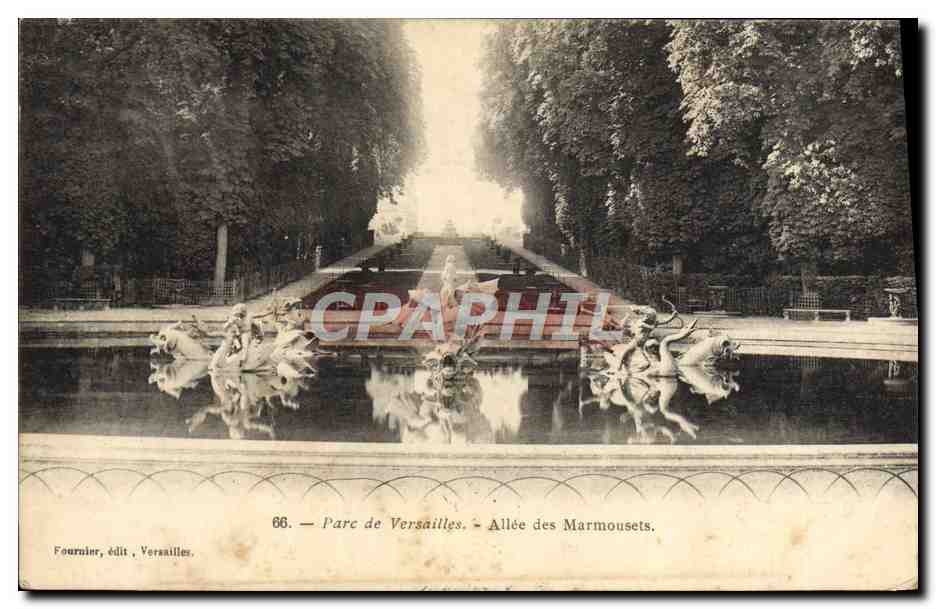 CPA Parc De Versailles Allee Des Marmousets