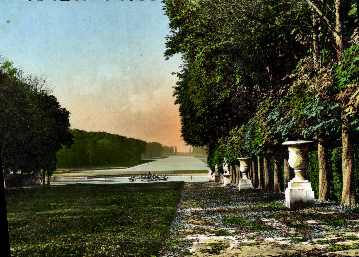 CPM Versailles Jardins Du Palais Tapis vert et bassin d'Apollon