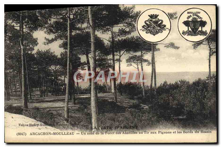 Arcachon-Moulléau — La Côte d'Argent, un coin de la forêt des Abatilles au tir aux pigeons et les bords du bassin — Veuve Henry Guimond-Tourne (8047)