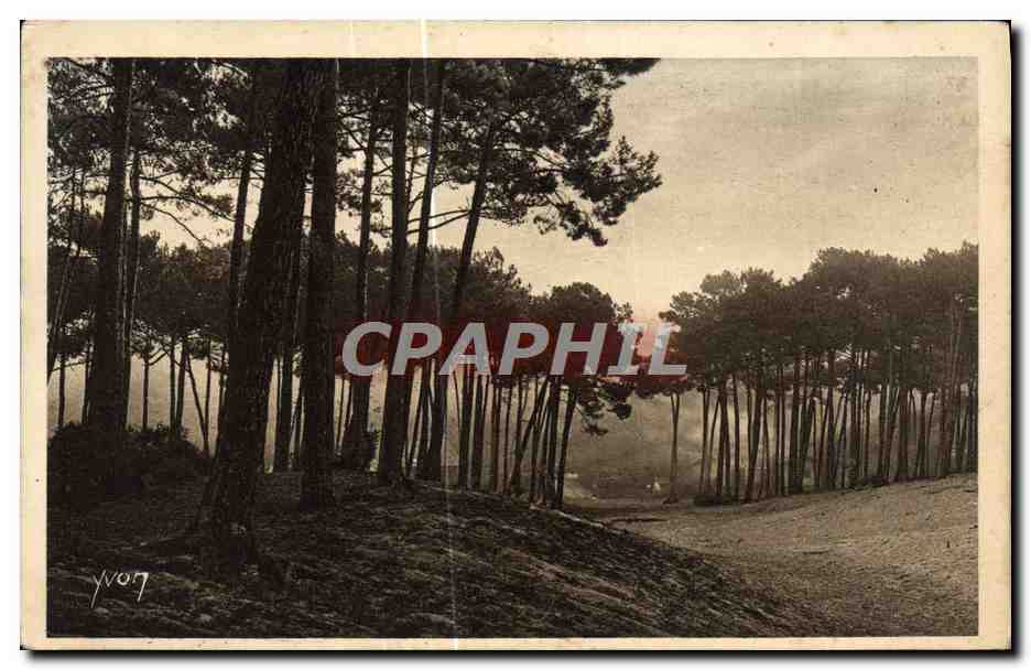 Les Charmes de la Côte d'Argent — Arcachon — Éditeur La Douce France, n°27
