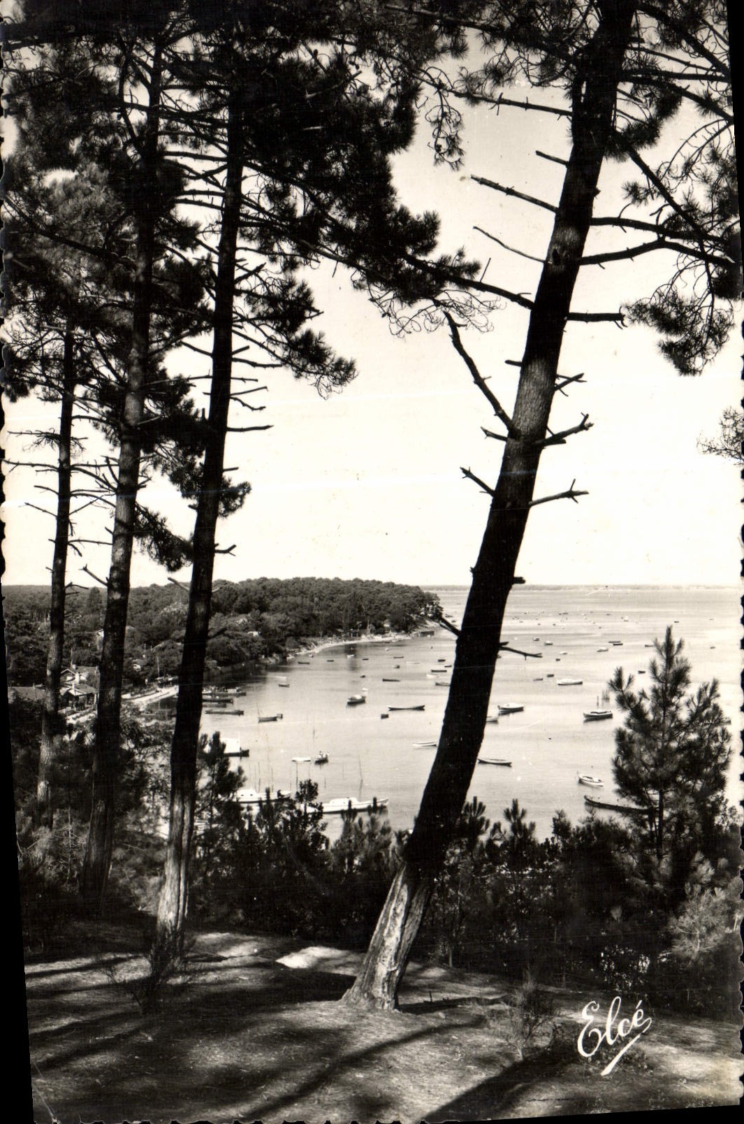 Bassin d'Arcachon — Échappée sur le Bassin à travers les Pins — Éditeur Elcée