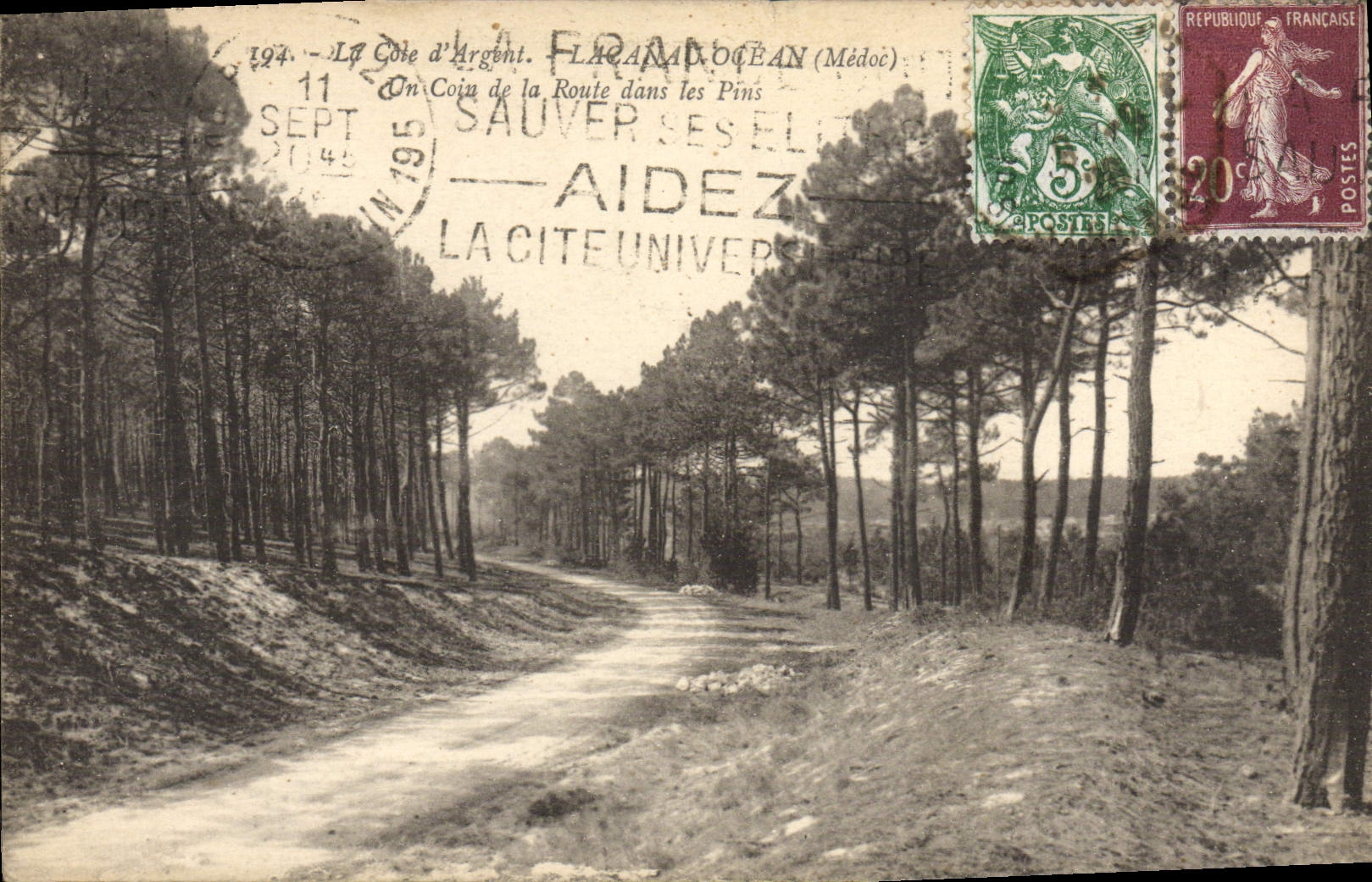 CPA Lacanau Ocean Un coin de la route dans les pins