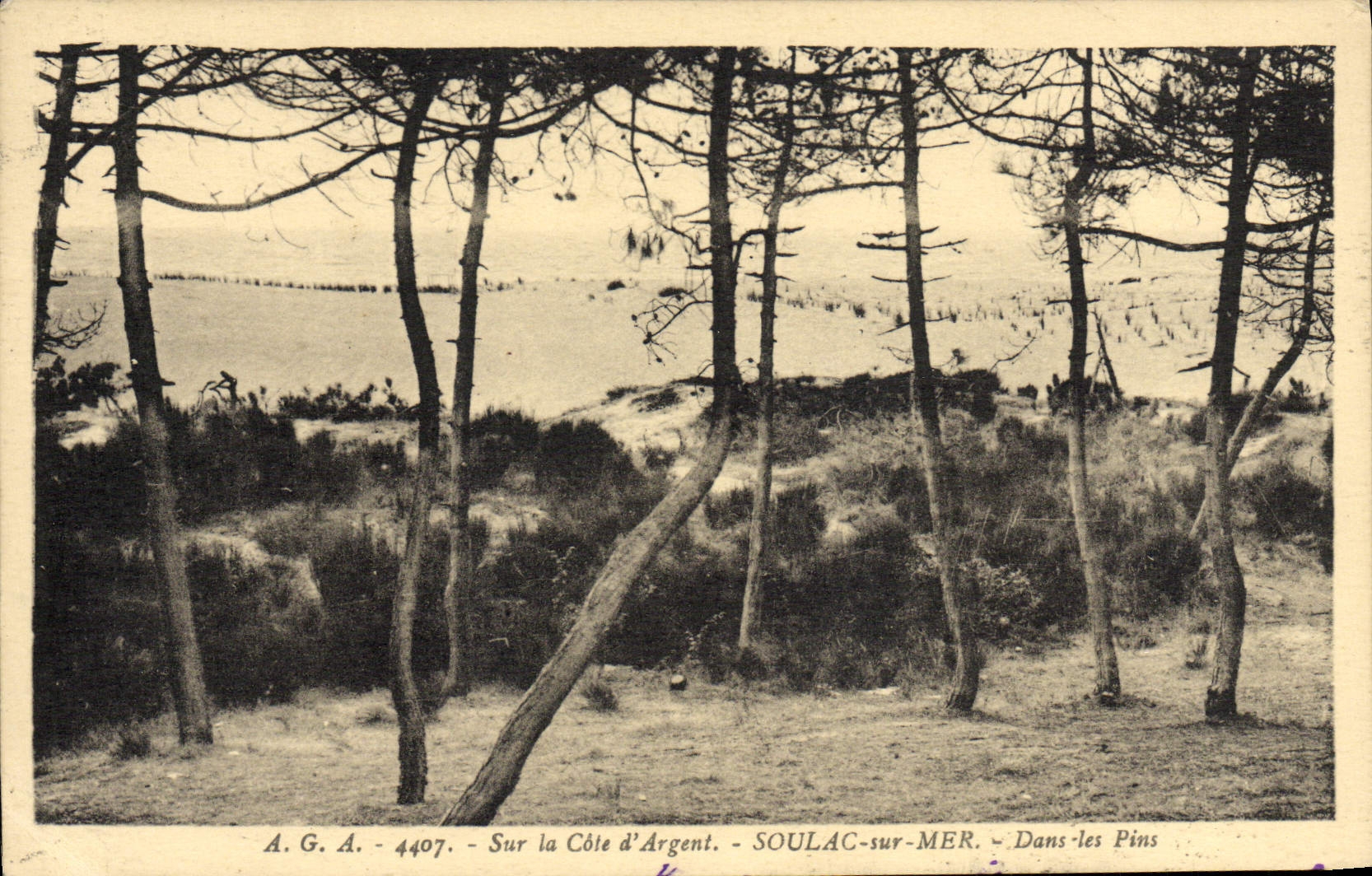 Soulac-sur-Mer — Dans les Pins — A.G.A. 4407