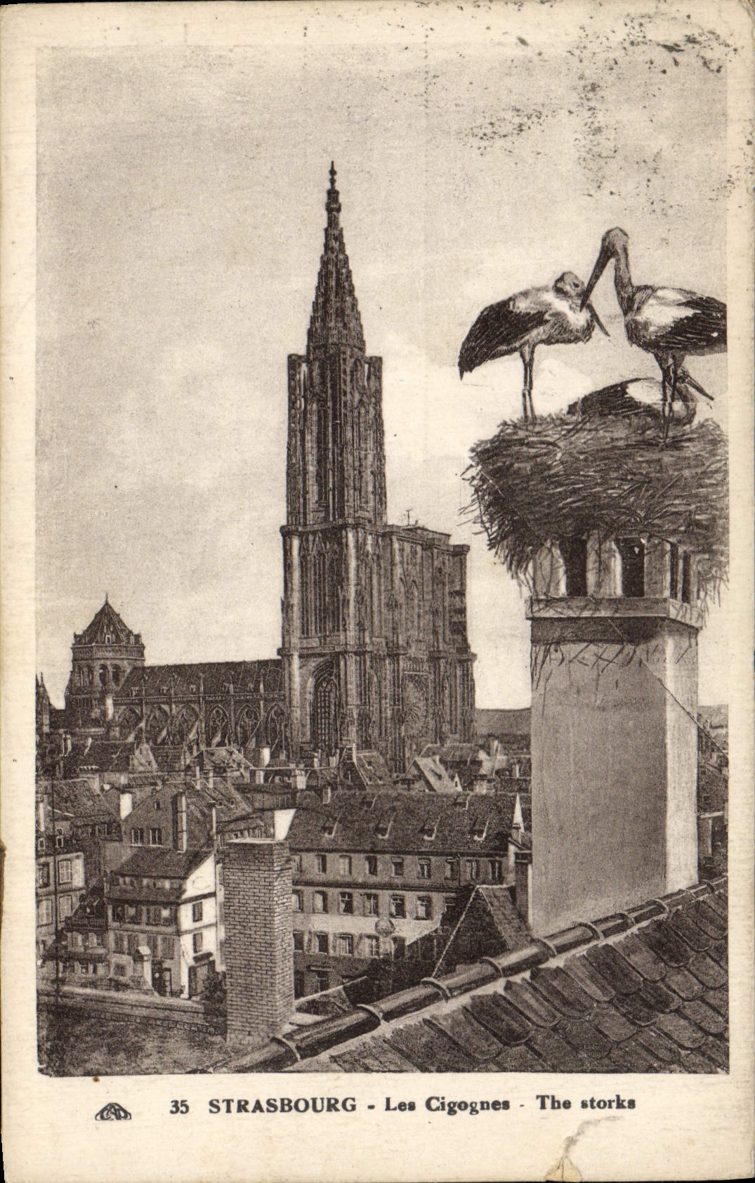 CPA Strasbourg Les Cigognes 