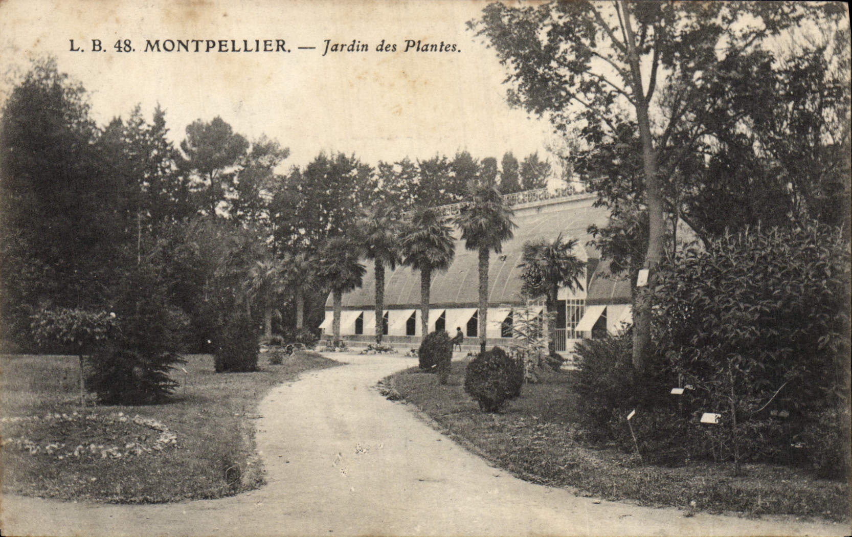 Montpellier — Jardin des Plantes — L.B. 48