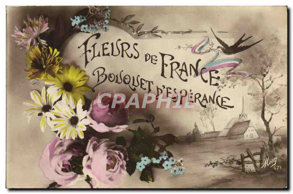 CPA Fantaisie Fleurs de France 