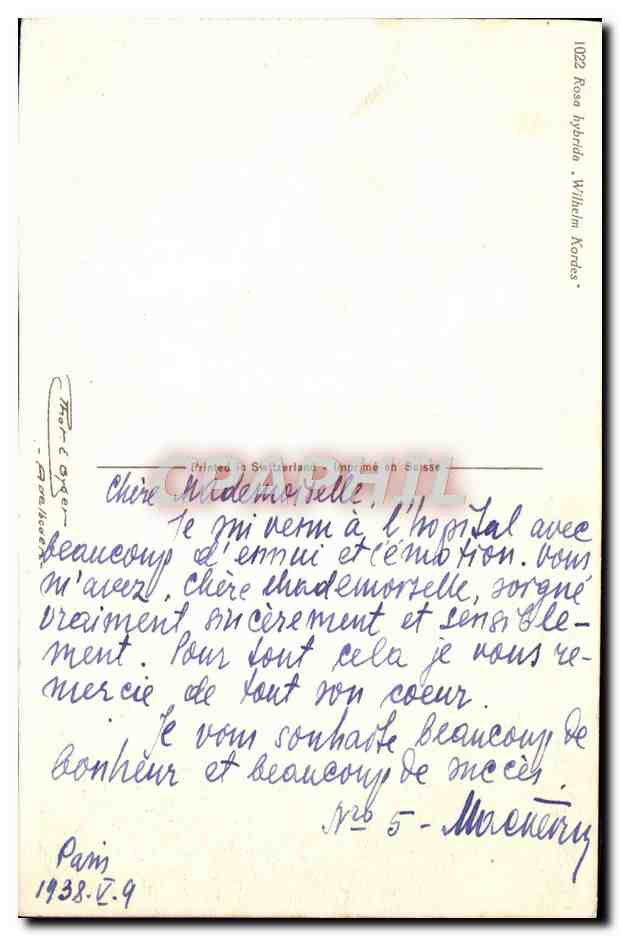 CPA Fantaisie Fleurs Roses — Verso