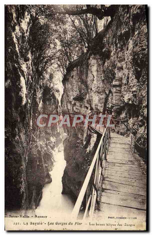 CPA La Savoie Les Gorges du Fier Les beaux hetres des gorges