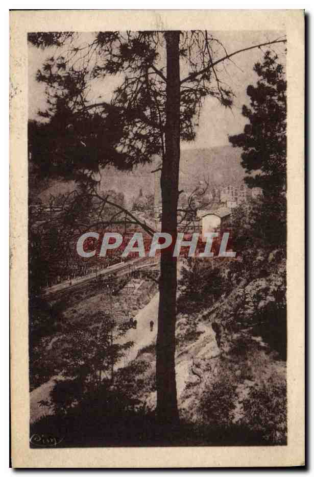 CPA Trescol La Grand Combe Echappee pittoresque sur Trescol a travers les pins