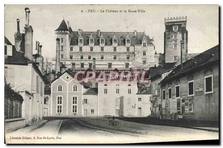 CPA Pau Le Chateau Et La Basse Ville
