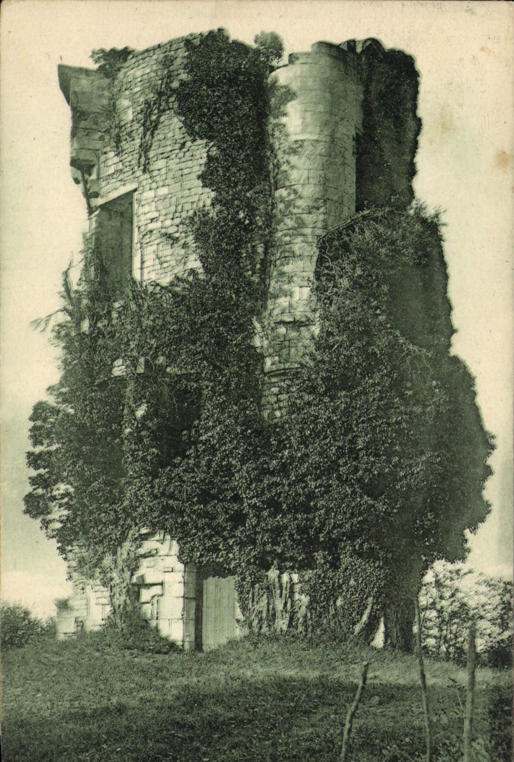 CPA Environs de Saintes Tailleboug Vestiges du chateau Saint Louis 