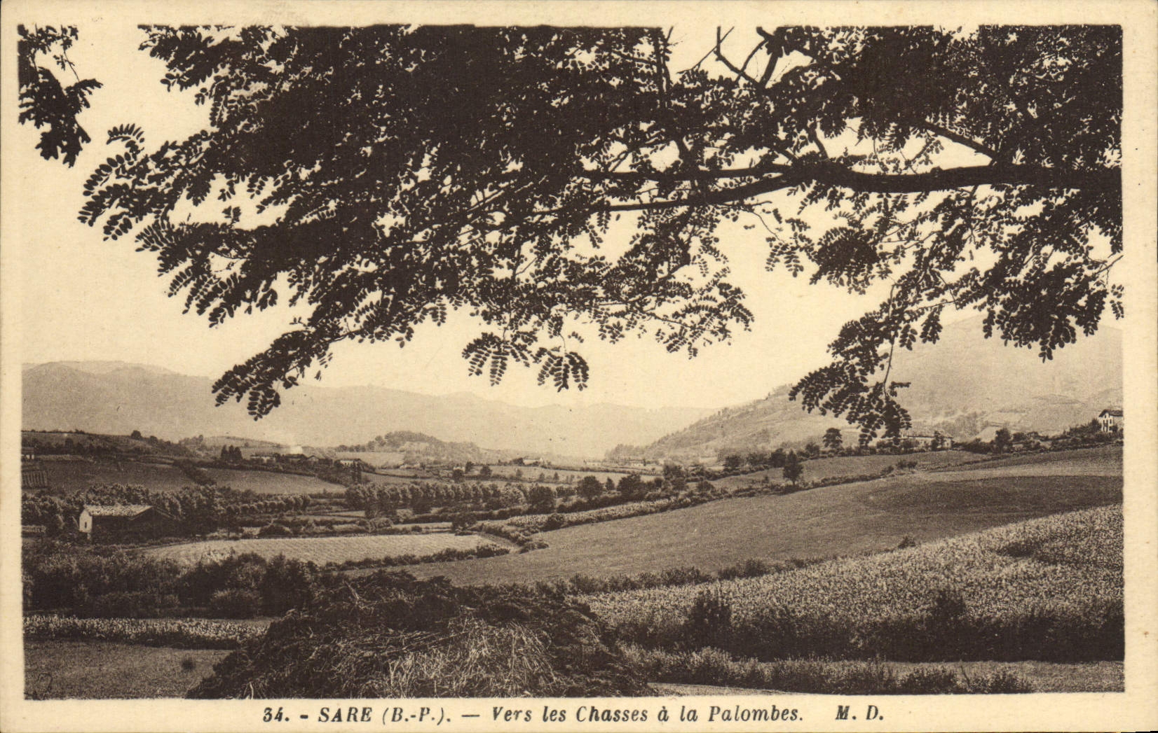 CPA Sare Vers les Chasses a la Palombes