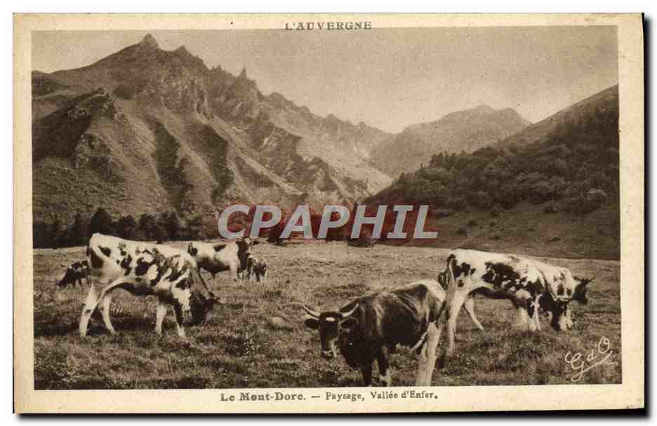 CPA Le Mont Dore Paysage Vallee D'enfer Vaches