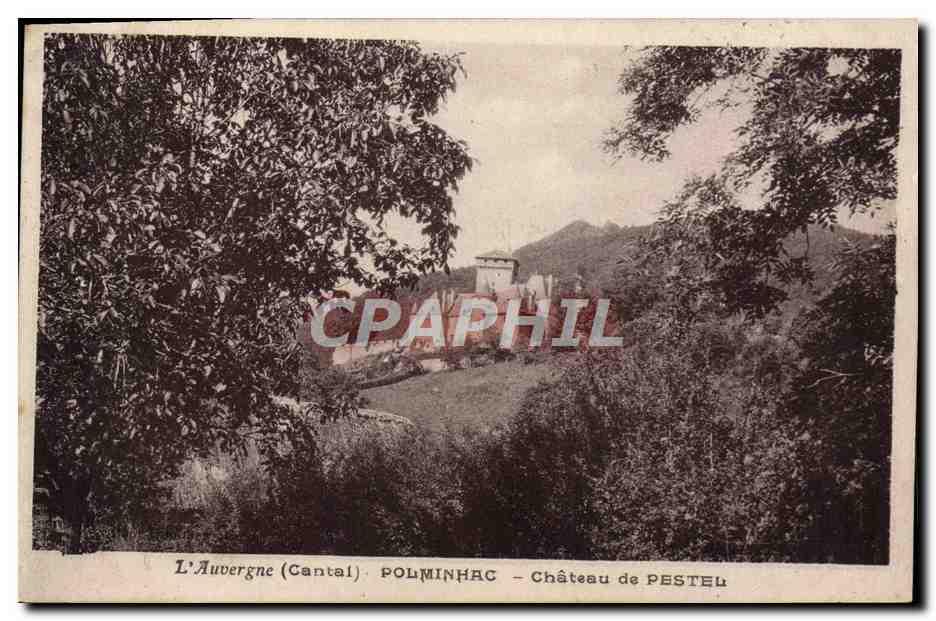 CPA L'Auvergne Polminhac Chateau De Pestel