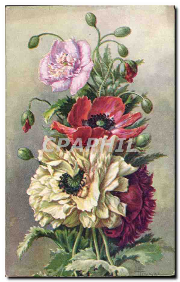 CPA Fantaisie Fleurs