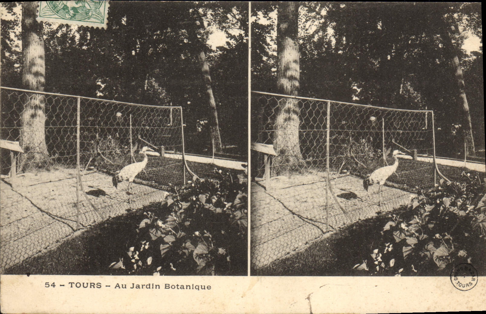 CPA Tours Au Jardin Botanique Zoo