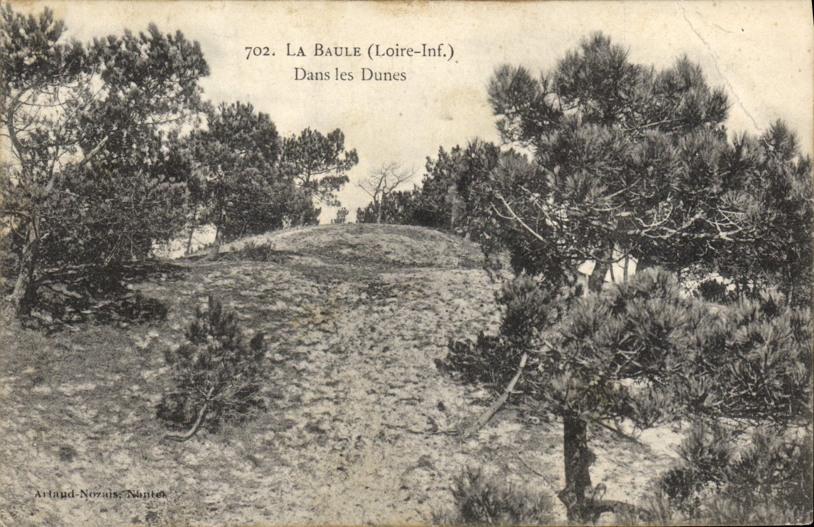 CPA La Baule Dans Les Dunes