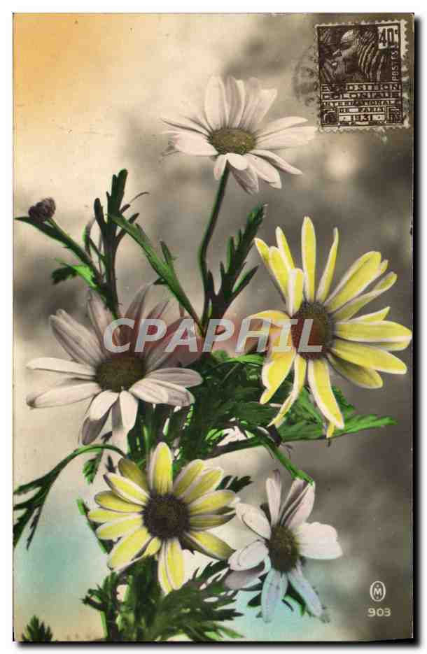 CPA Fantaisie Fleurs 