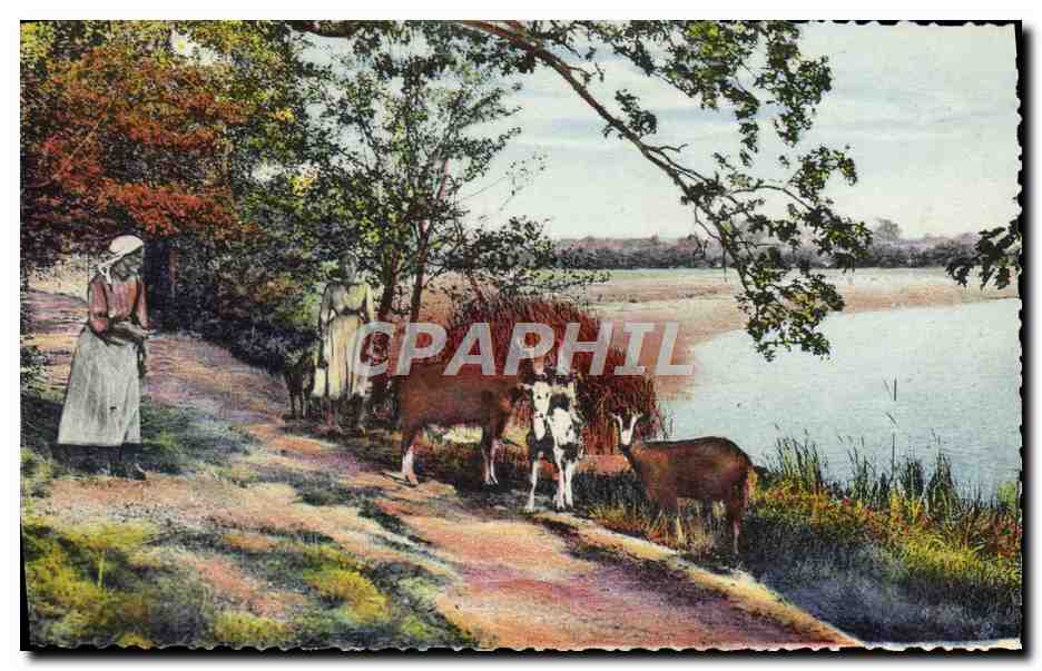 CPM Fantaisie Femme Chevre Normandie