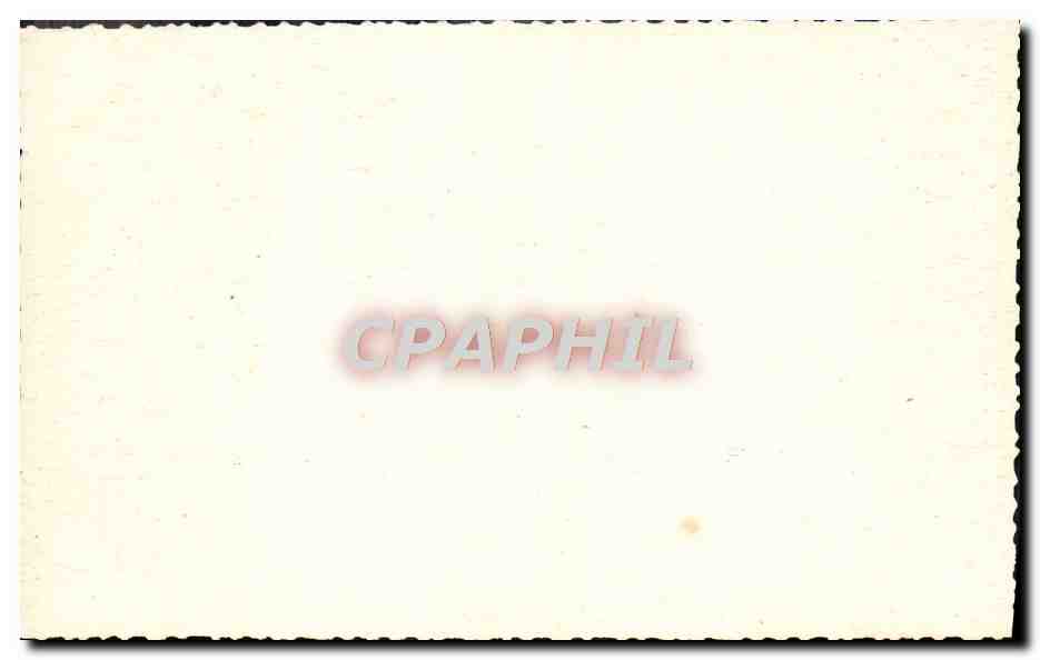 CPM Fantaisie Vaches Normandie — Back
