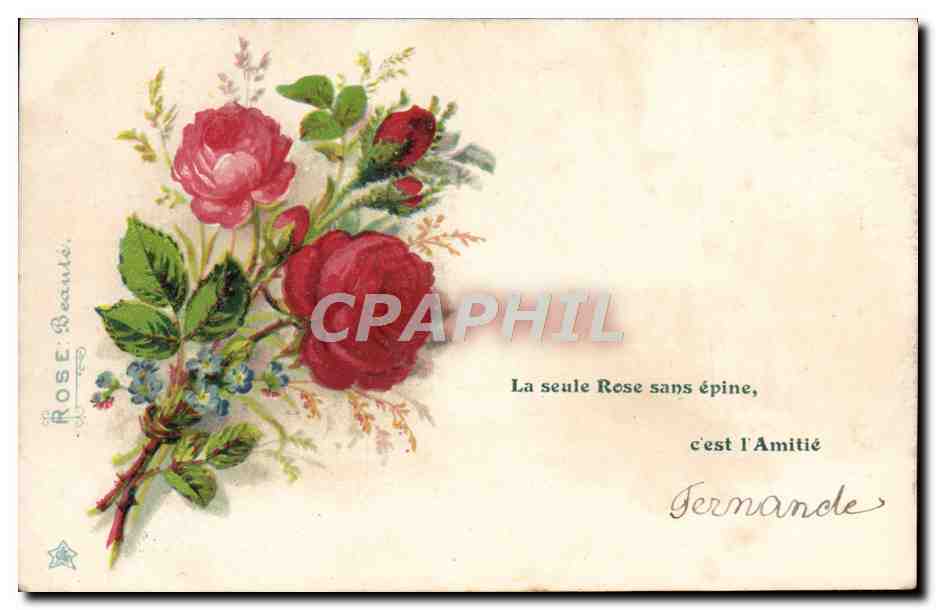 CPA Fantaisie Fleurs Rose