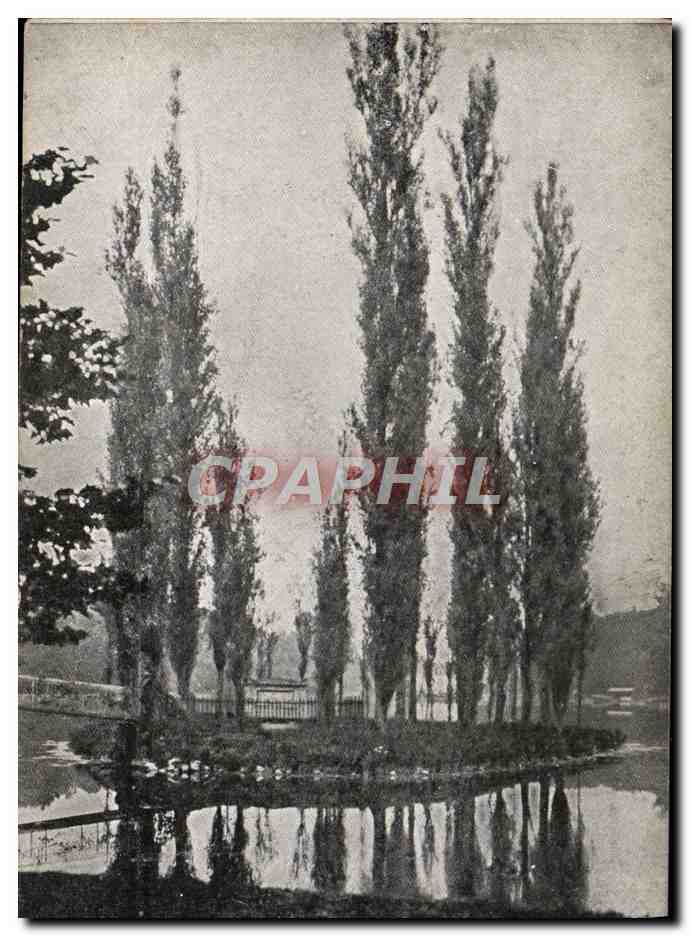 Paisaje de sauces llorones junto al borde de un estanque — Alliance des Travailleurs, Le Havre
