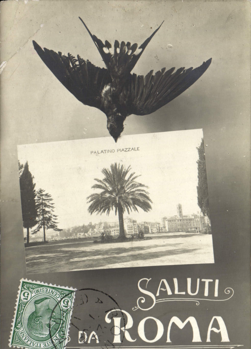 CPA Saluti Roma Palatino Piazzale Oiseau