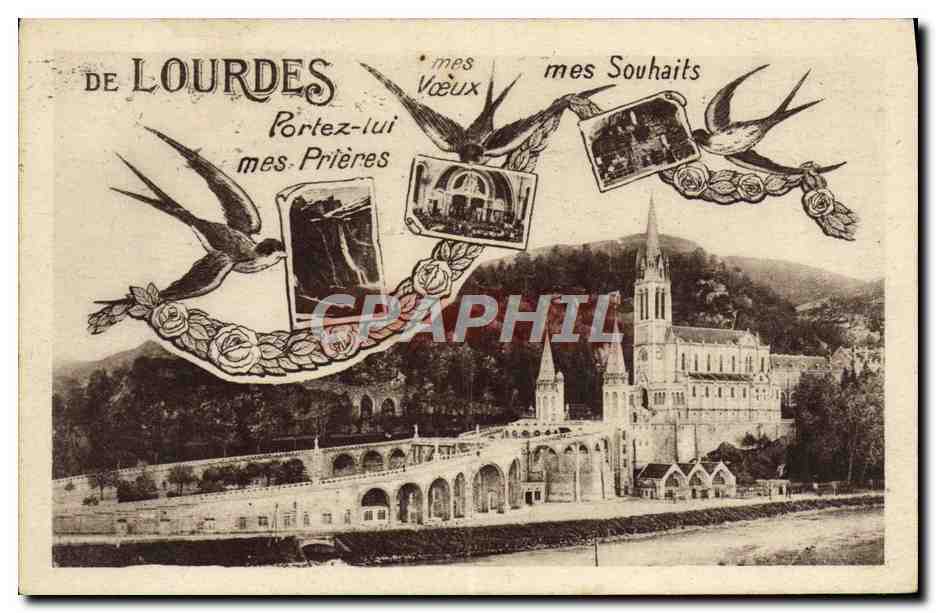 CPA De Lourdes Portez lui mes Prieres Hirondelles