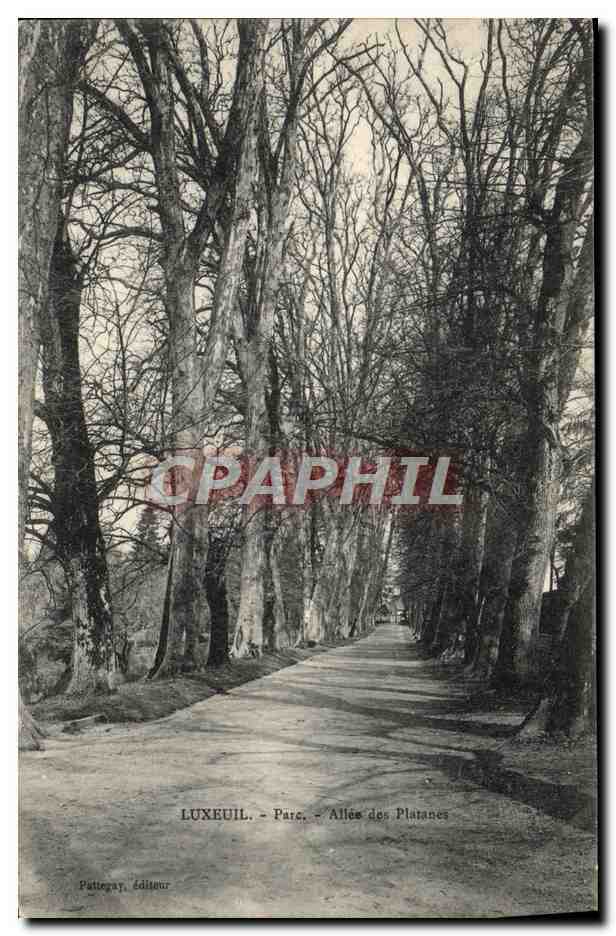 CPA Luxeuil Parc Allee des Platanes