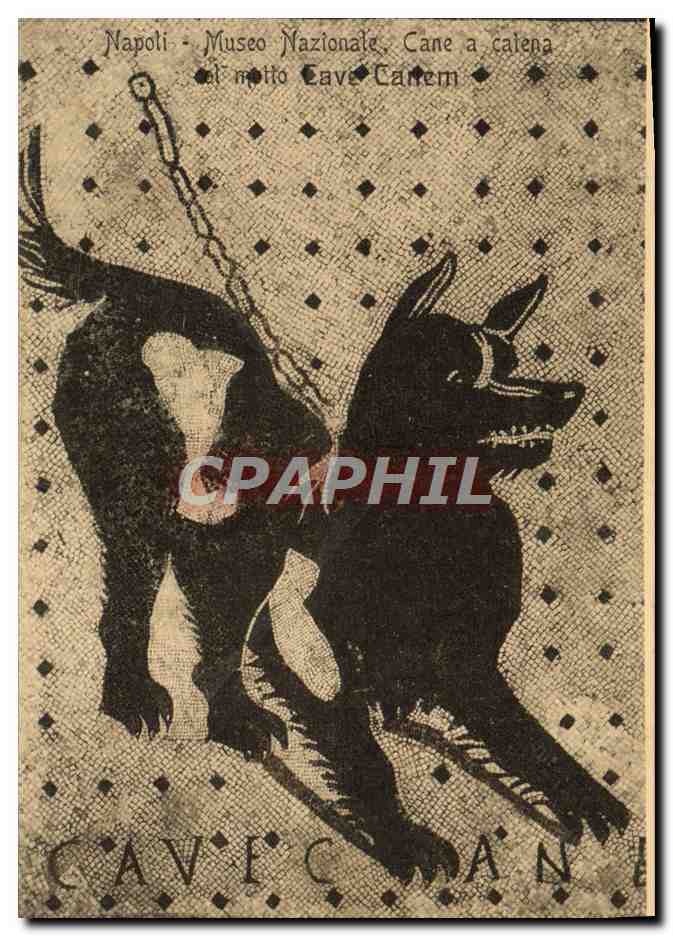 CPA Napoli Museo Nazionale Cane a catena 