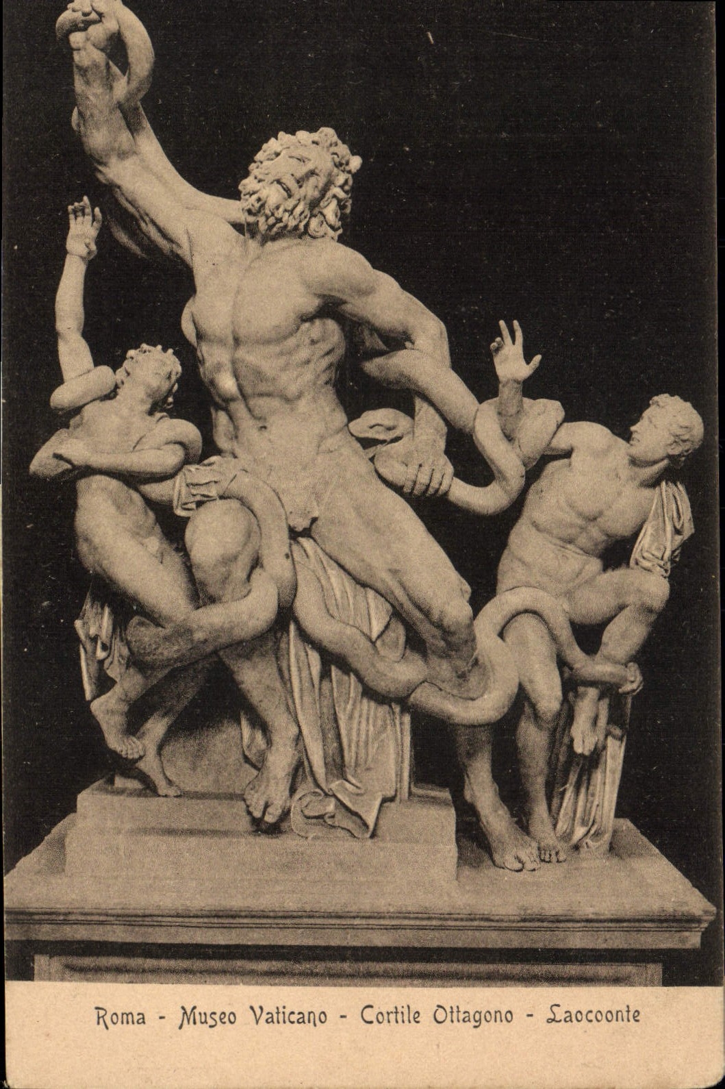 CPA Roma Museo Vaticano Cortile Ottagono Laocoonte