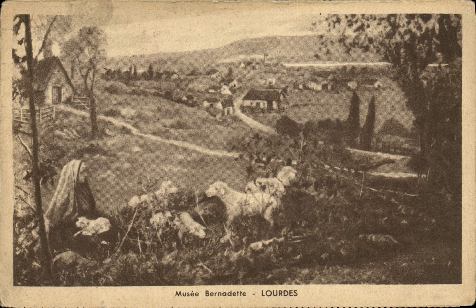 CPA Lourdes Musee Bernadette Moutons 