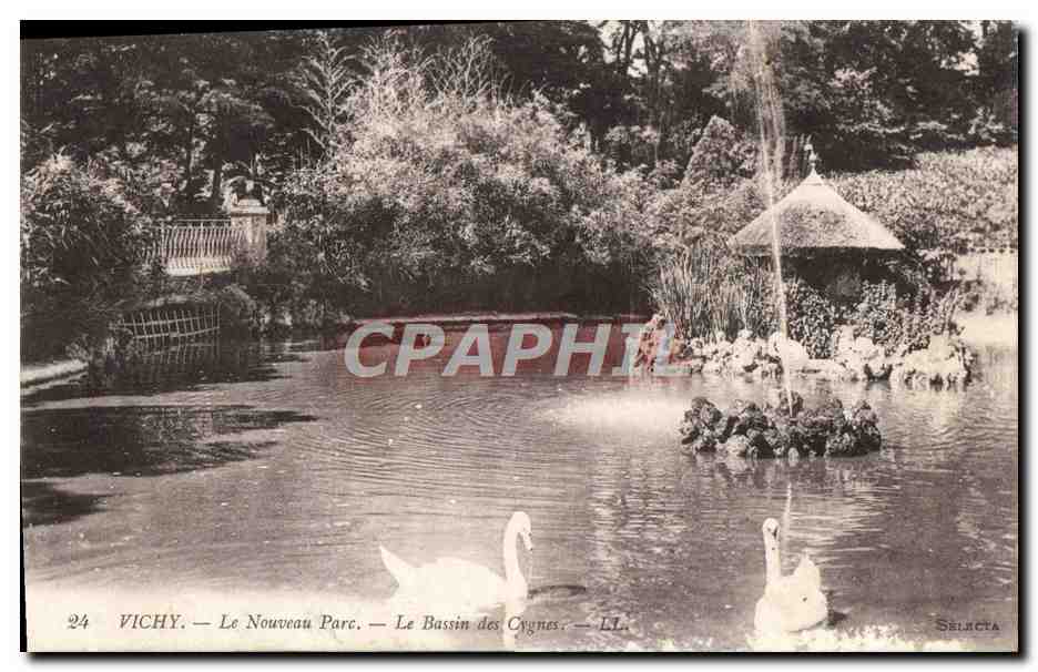CPA Vichy Le Nouveau Parc Le Bassin Des Cygnes