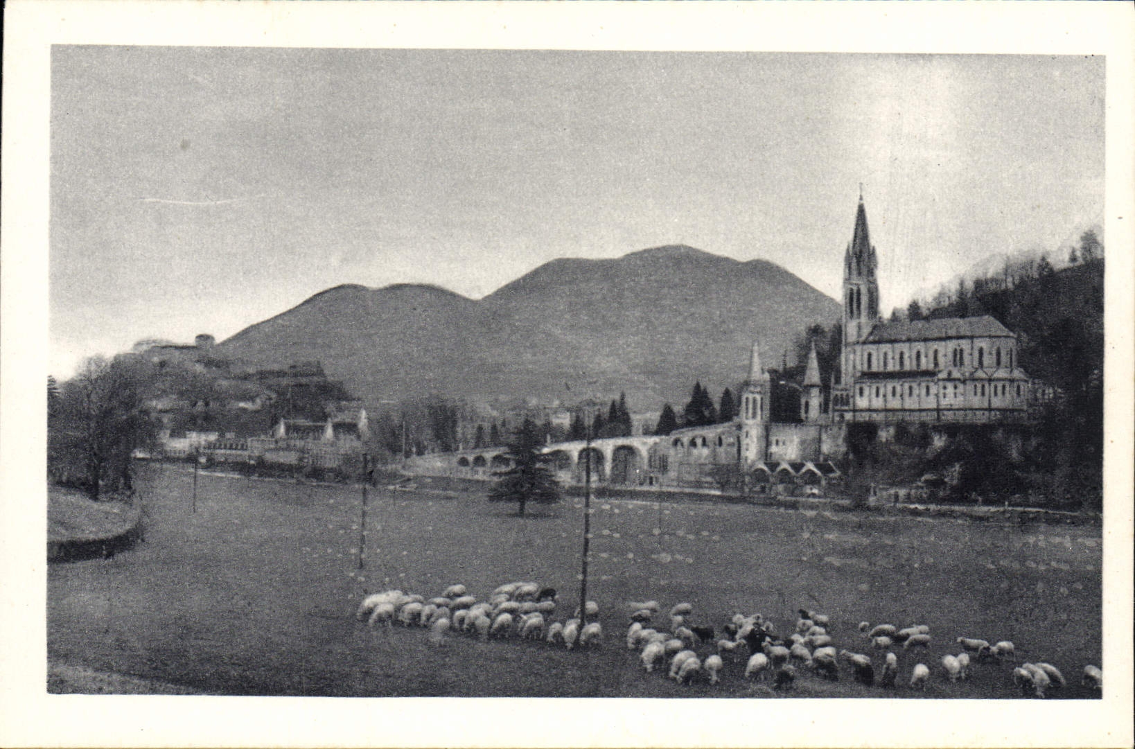 CPA Lourdes La Basilique et le Pic du Jer 