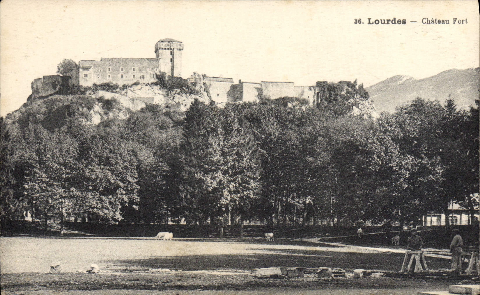 CPA Lourdes Chateau Fort 