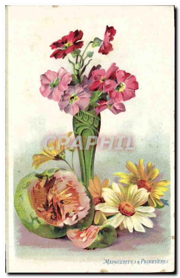 CPA Marguerites Primeyeres Fleurs