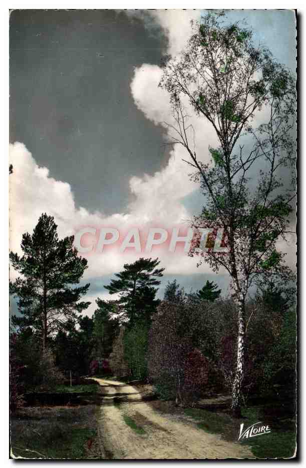 Chemin forestier — Val de Loire — Éditions Valoire, n° 5.606