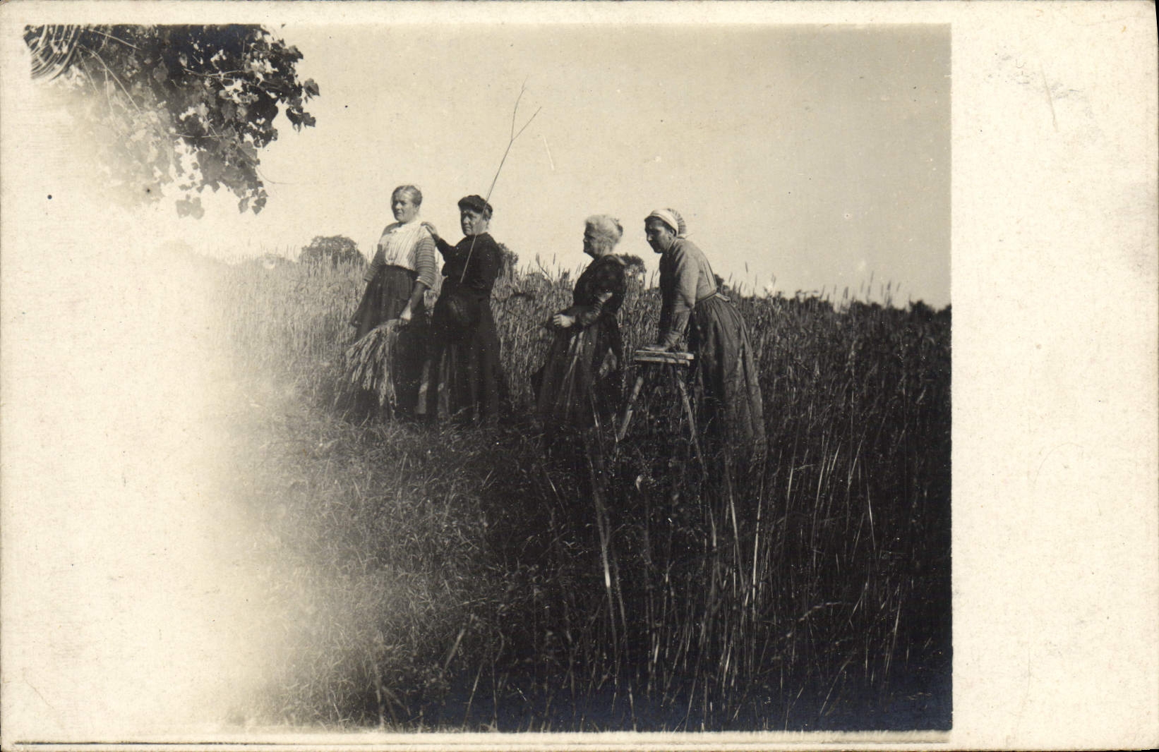 CARTE PHOTO Paysans Femmes Folklore 