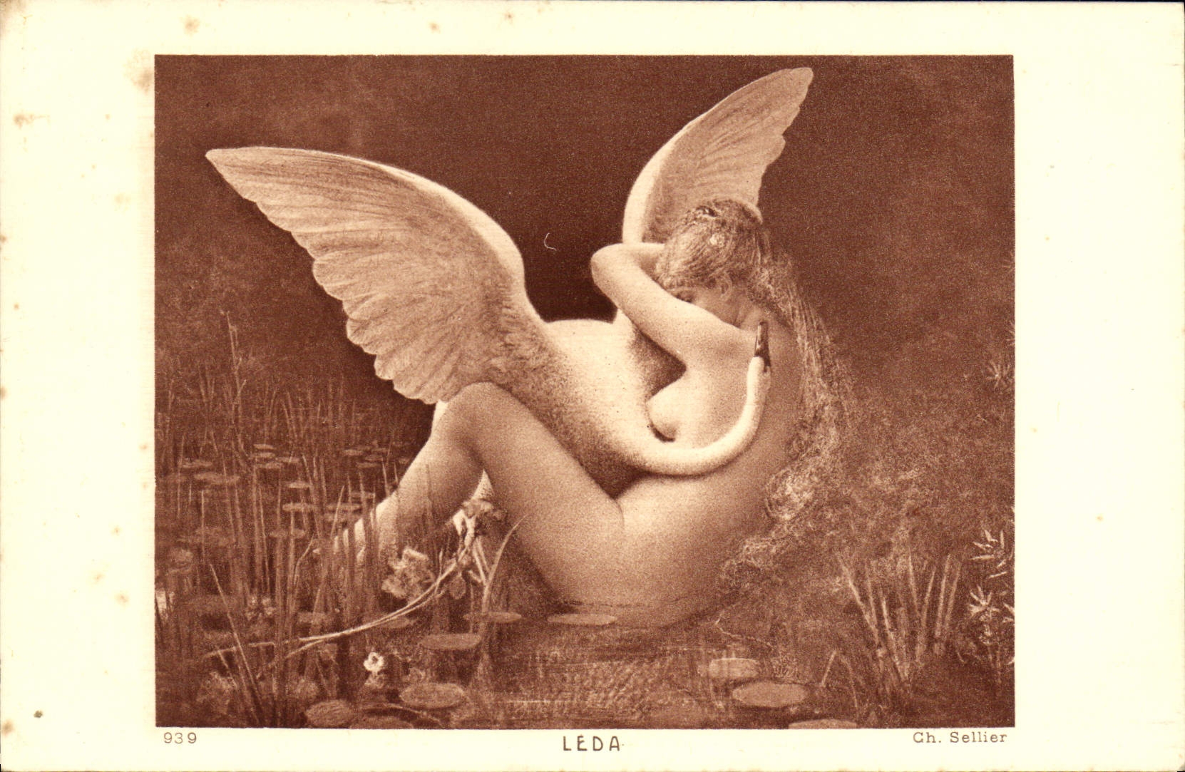 CPA Leda Cygne