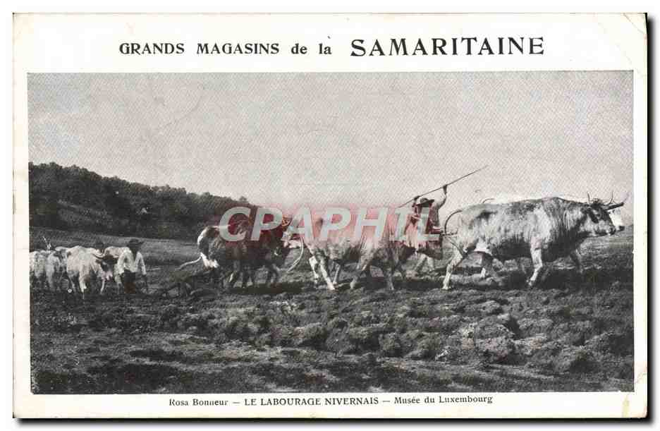CPA Grands Magasins de la Samaritaine Rosa Bonheur Le labourage nivernais Musee du Luxembourg