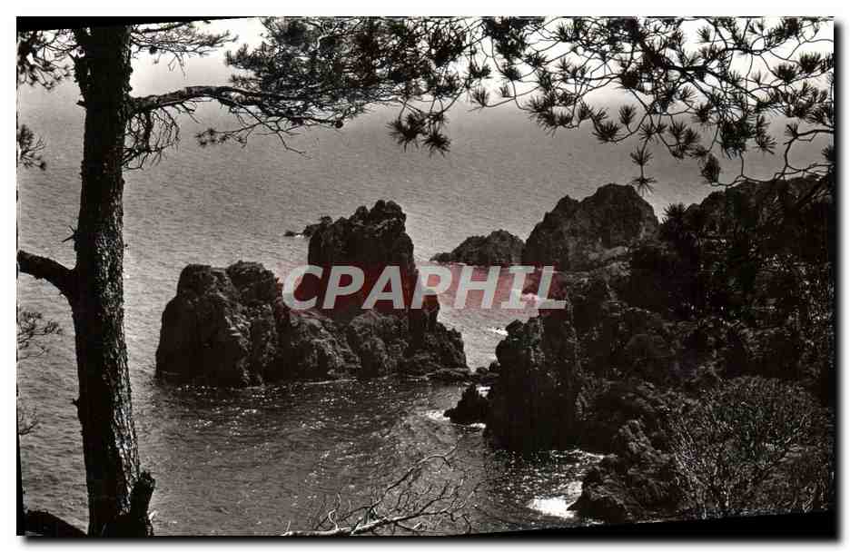 CPM La Cote d'Azur La Mediterranee et ses roches rouges 