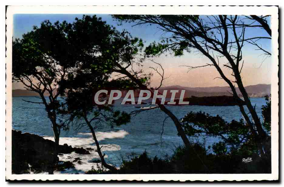CPM St Raphael Le Lion