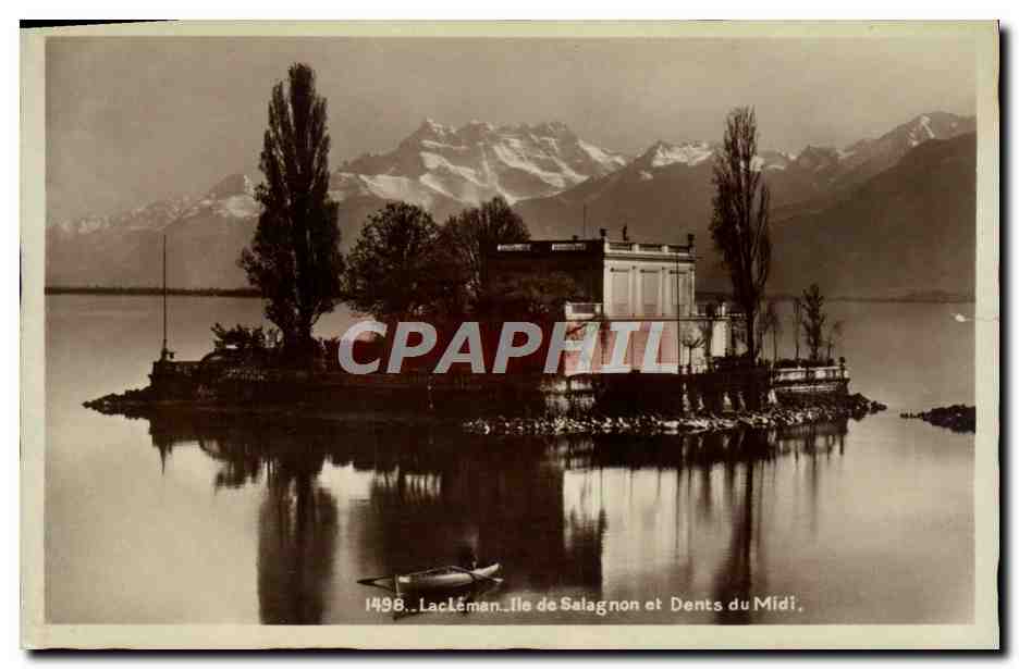 CPA Lac Leman Ile De Salagnon Et Dents Du Midi