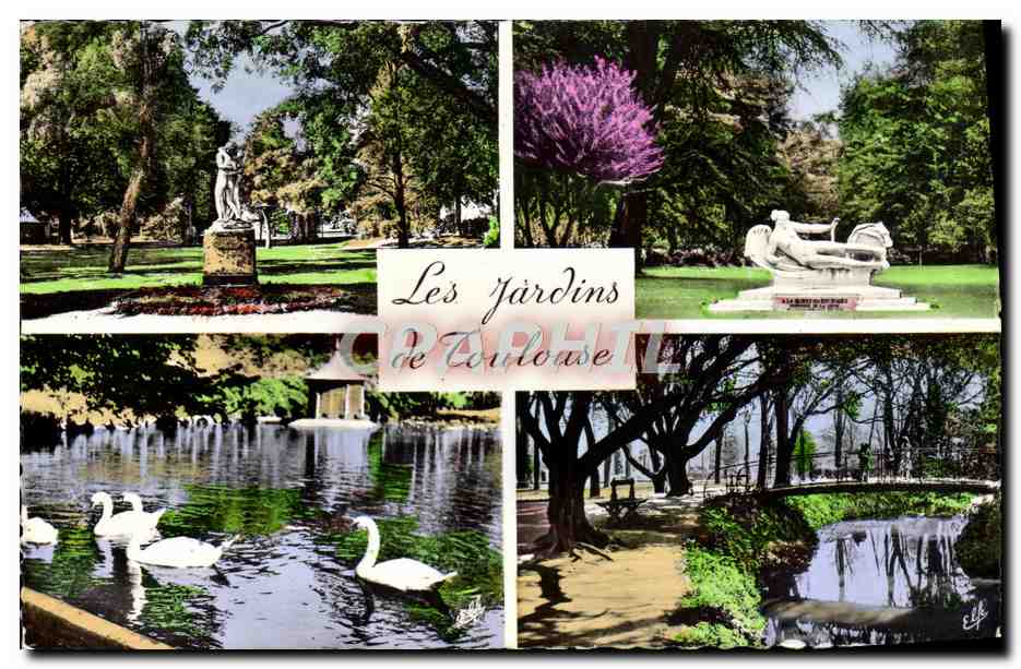 CPM Les Jardins de Toulouse Cygne