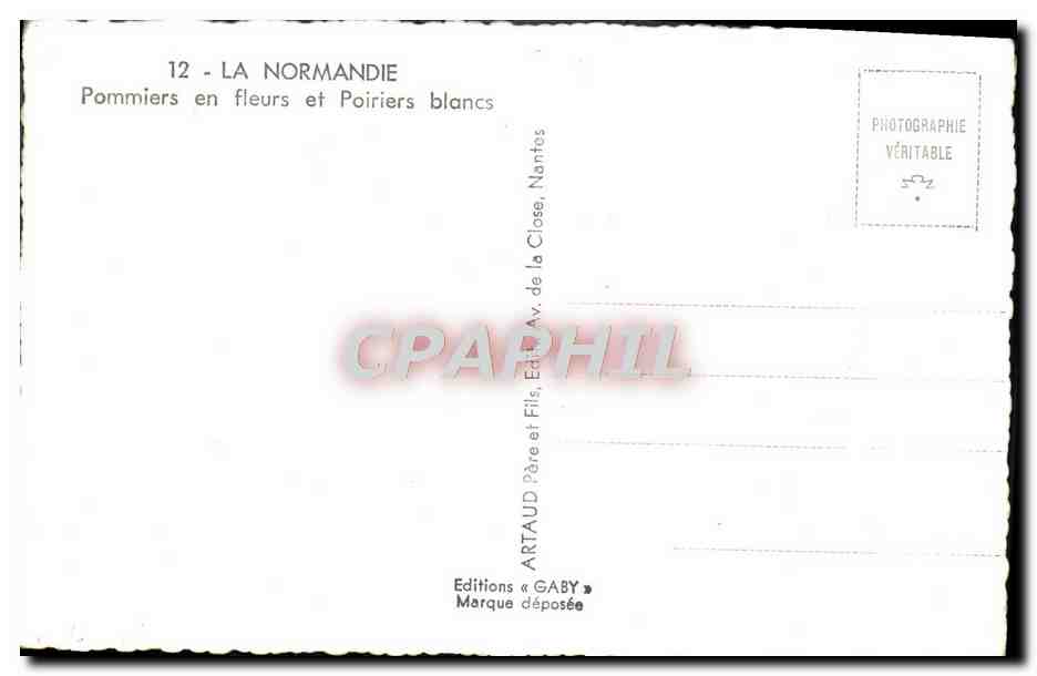 CPM La Normandie Pommiers En Fleurs Et Poiriers Blancs Vaches — Back